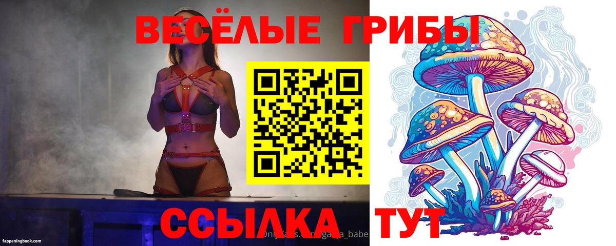 Ноябрьск  Псилоцибиновые грибы Cubensis  Галлюциногенные грибы прущие грибы  Вход с VPN 