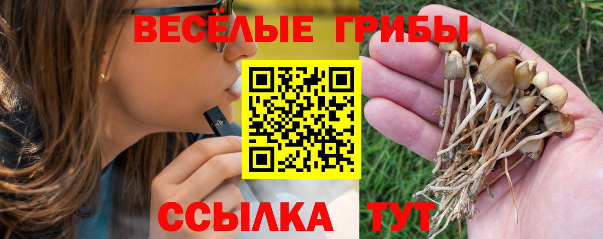Псилоцибиновые грибы ЛСД Ноябрьск