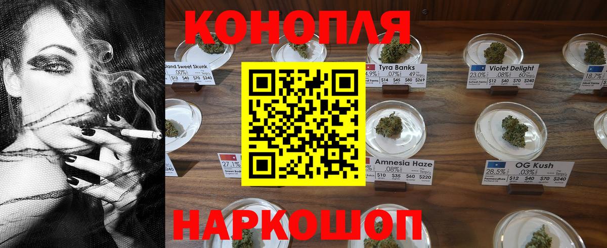 Канабис конопля Ноябрьск